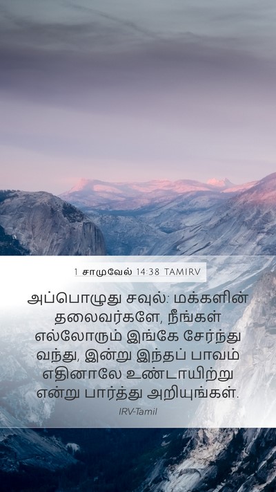 1 சாமுவேல் 14:38 TAMIRV Bible Verse Image