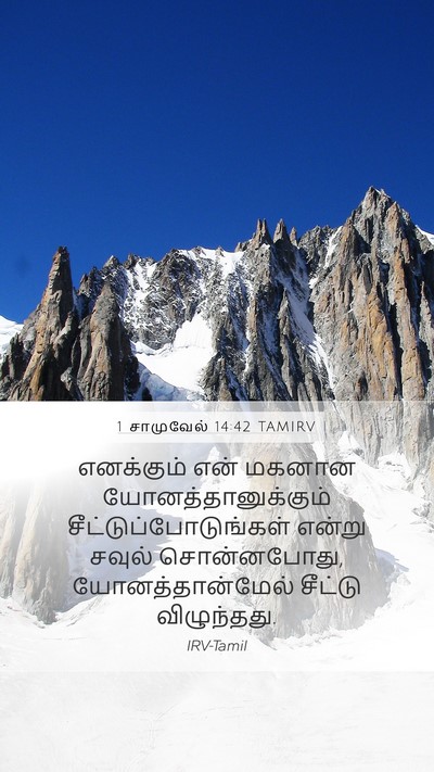 1 சாமுவேல் 14:42 TAMIRV Bible Verse Image