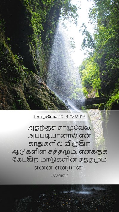1 சாமுவேல் 15:14 TAMIRV Bible Verse Image