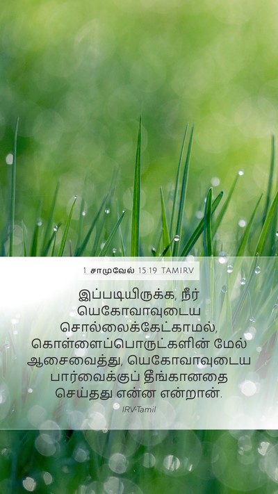 1 சாமுவேல் 15:19 TAMIRV Bible Verse Image