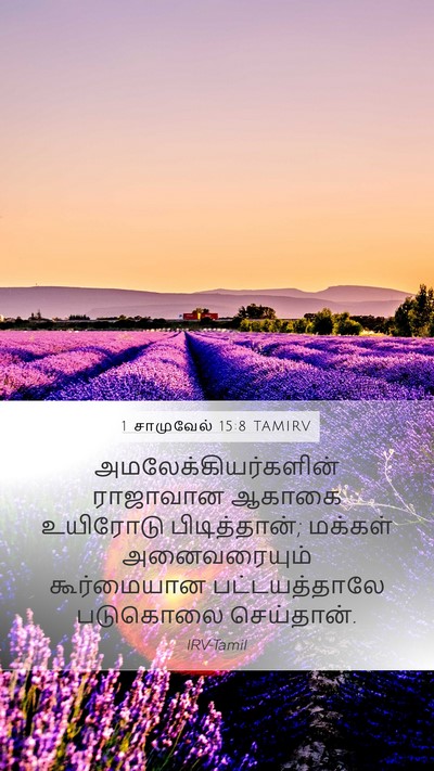 1 சாமுவேல் 15:8 TAMIRV Bible Verse Image