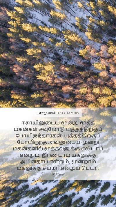 1 சாமுவேல் 17:13 TAMIRV Bible Verse Image