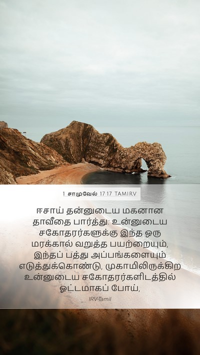 1 சாமுவேல் 17:17 TAMIRV Bible Verse Image