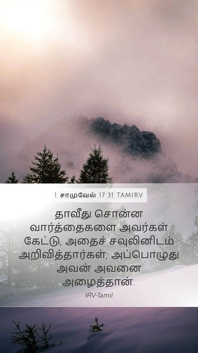 1 சாமுவேல் 17:31 TAMIRV Mobile Phone Wallpaper - தாவீது சொன்ன - Mobile Bible Verse Wallpaper