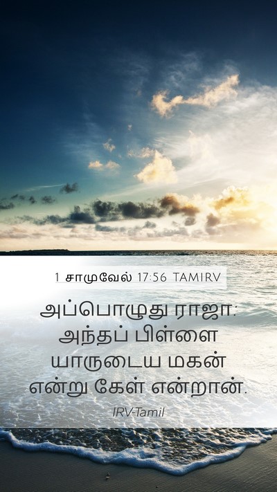 1 சாமுவேல் 17:56 TAMIRV Mobile Phone Wallpaper - அப்பொழுது ராஜா: - Mobile Bible Verse Wallpaper