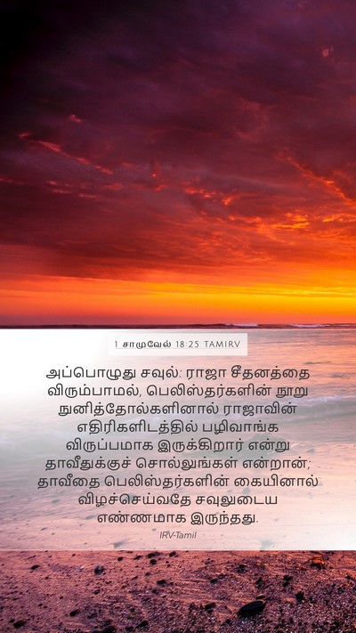 1 சாமுவேல் 18:25 TAMIRV Bible Verse Image