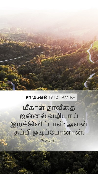 1 சாமுவேல் 19:12 TAMIRV Bible Verse Image