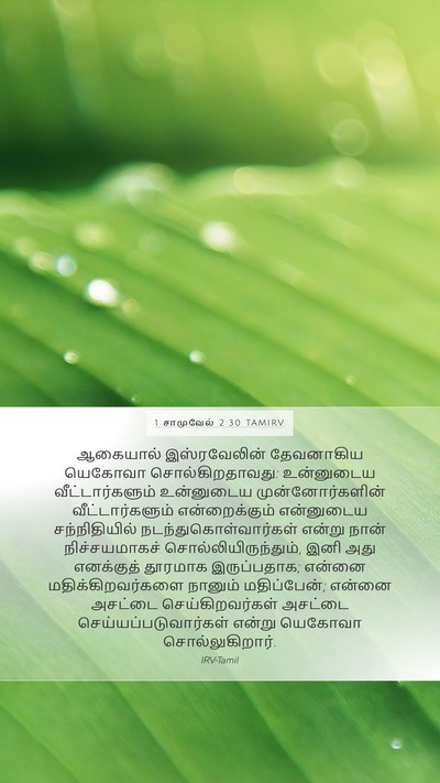1 சாமுவேல் 2:30 TAMIRV Bible Verse Image