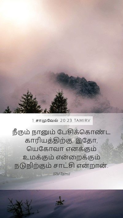 1 சாமுவேல் 20:23 TAMIRV Bible Verse Image