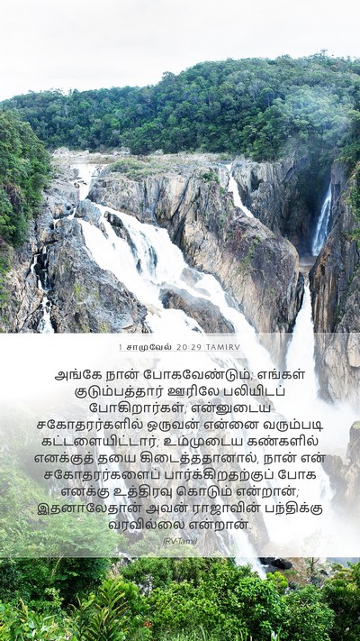 1 சாமுவேல் 20:29 TAMIRV Bible Verse Image