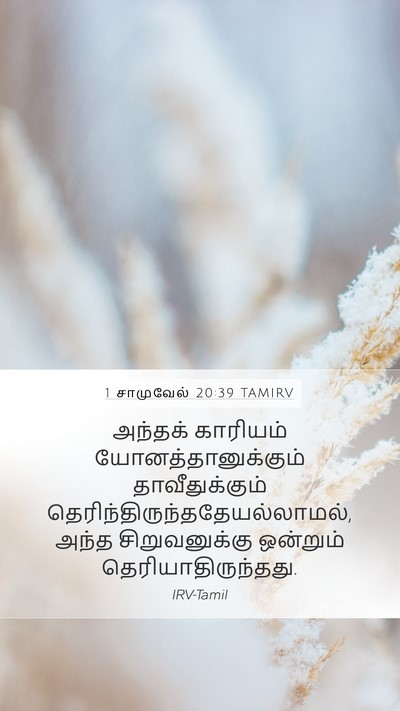 1 சாமுவேல் 20:39 TAMIRV Mobile Phone Wallpaper - அந்தக் காரியம் - Mobile Bible Verse Wallpaper