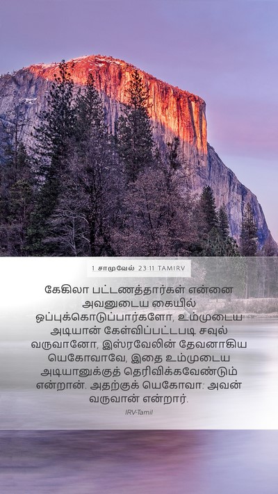 1 சாமுவேல் 23:11 TAMIRV Bible Verse Image
