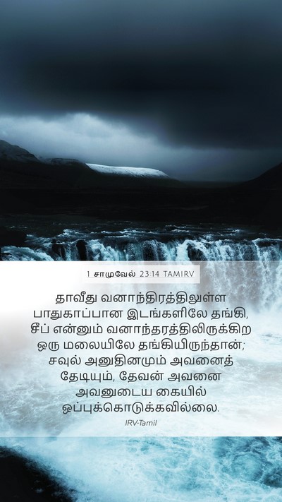 1 சாமுவேல் 23:14 TAMIRV Bible Verse Image