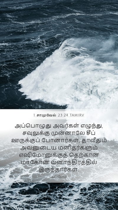 1 சாமுவேல் 23:24 TAMIRV Bible Verse Image