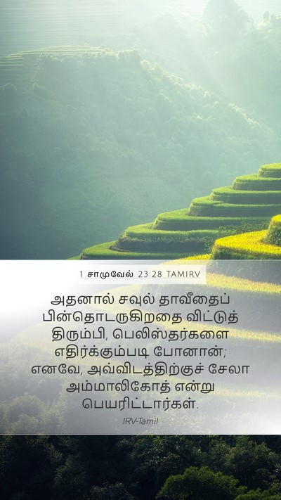 1 சாமுவேல் 23:28 TAMIRV Mobile Phone Wallpaper - அதனால் சவுல் - Mobile Bible Verse Wallpaper