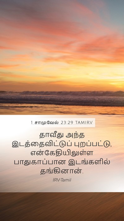 1 சாமுவேல் 23:29 TAMIRV Bible Verse Image