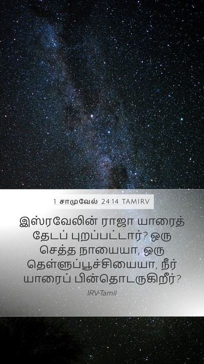 1 சாமுவேல் 24:14 TAMIRV Bible Verse Image