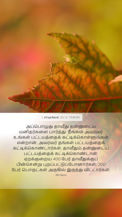 1 சாமுவேல் 25:13 TAMIRV Bible Verse Image