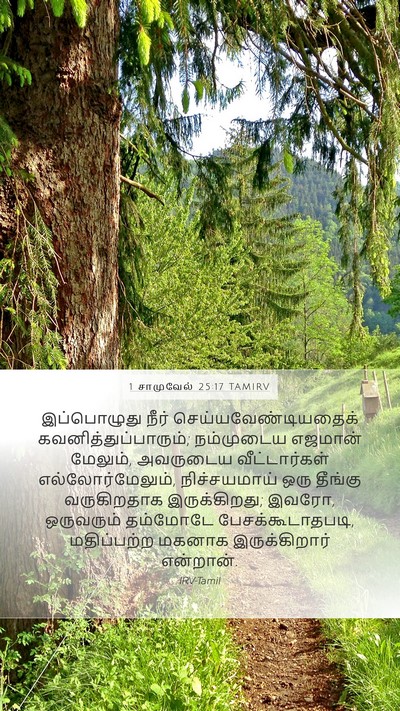 1 சாமுவேல் 25:17 TAMIRV Bible Verse Image