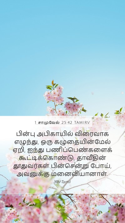 1 சாமுவேல் 25:42 TAMIRV Bible Verse Image