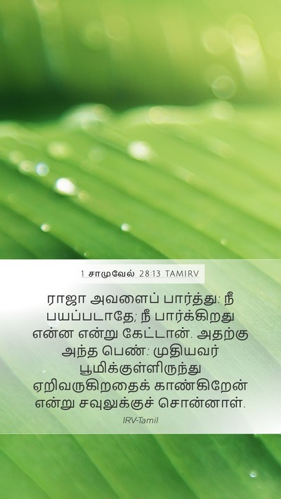 1 சாமுவேல் 28:13 TAMIRV Bible Verse Image