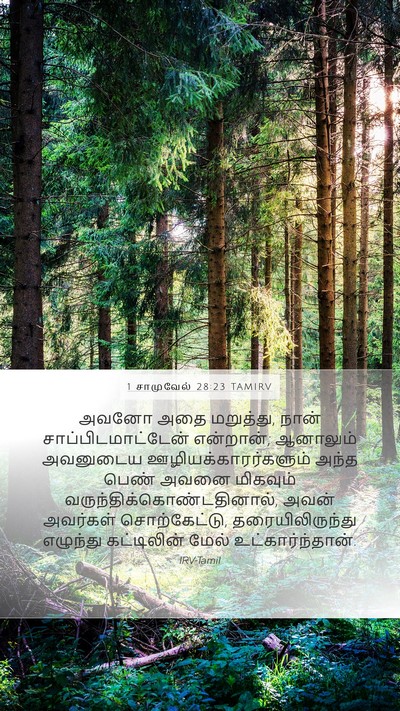 1 சாமுவேல் 28:23 TAMIRV Bible Verse Image