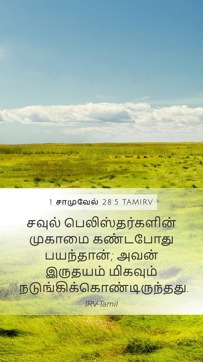 1 சாமுவேல் 28:5 TAMIRV Mobile Phone Wallpaper - சவுல் - Mobile Bible Verse Wallpaper