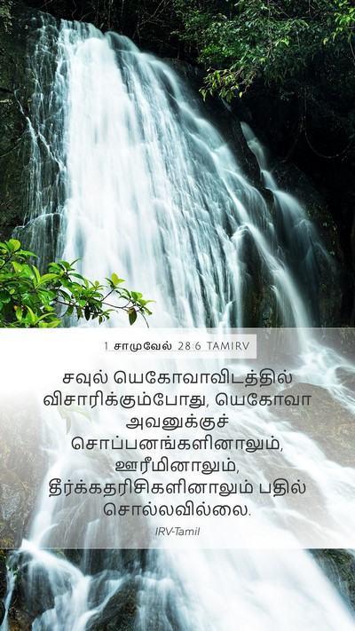 1 சாமுவேல் 28:6 TAMIRV Bible Verse Image