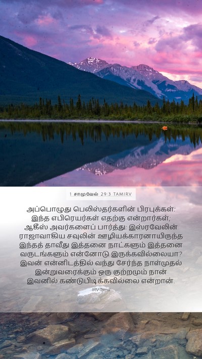 1 சாமுவேல் 29:3 TAMIRV Mobile Phone Wallpaper - அப்பொழுது - Mobile Bible Verse Wallpaper
