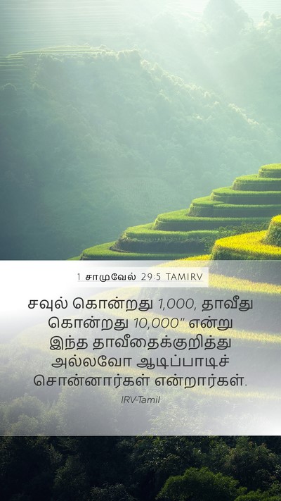 1 சாமுவேல் 29:5 TAMIRV Bible Verse Image