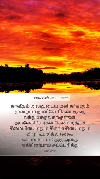 1 சாமுவேல் 30:1 TAMIRV Bible Verse Image