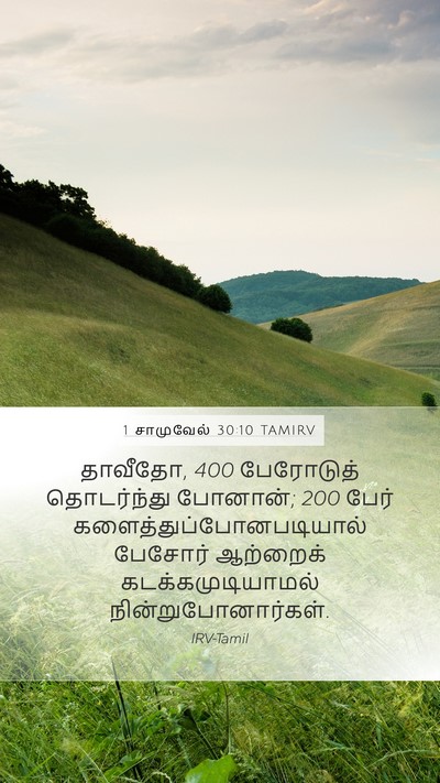 1 சாமுவேல் 30:10 TAMIRV Mobile Phone Wallpaper - தாவீதோ, 400 பேரோடுத் - Mobile Bible Verse Wallpaper