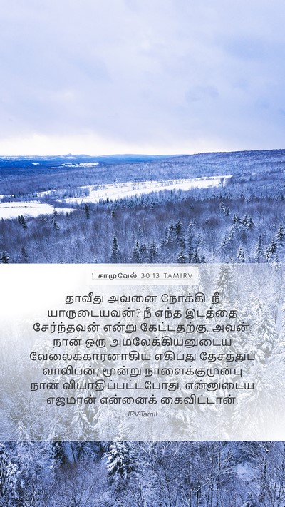 1 சாமுவேல் 30:13 TAMIRV Bible Verse Image