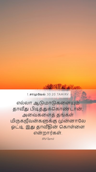 1 சாமுவேல் 30:20 TAMIRV Bible Verse Image