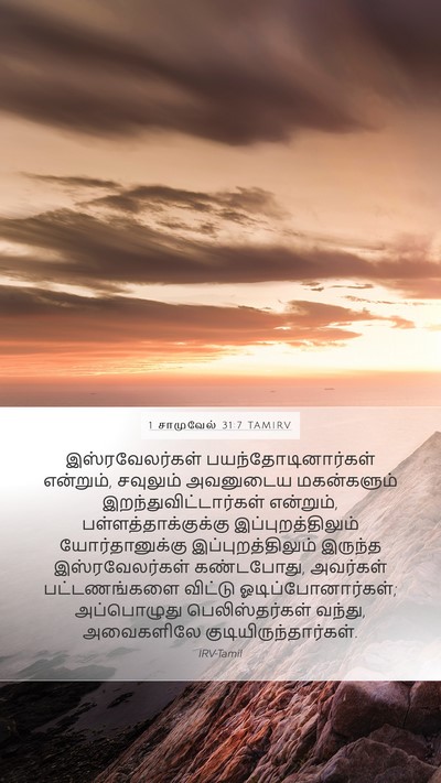 1 சாமுவேல் 31:7 TAMIRV Bible Verse Image