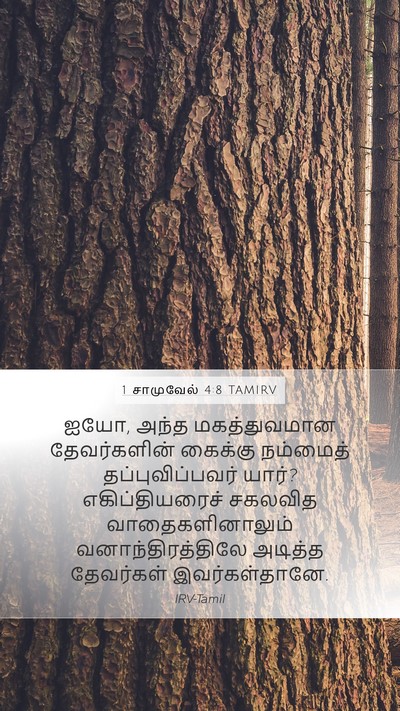 1 சாமுவேல் 4:8 TAMIRV Bible Verse Image