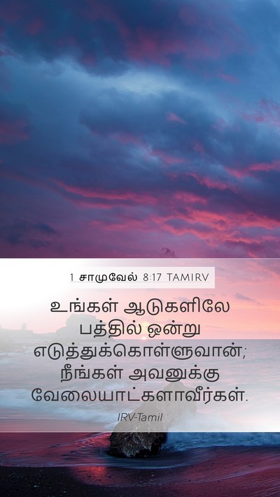 1 சாமுவேல் 8:17 TAMIRV Mobile Phone Wallpaper - உங்கள் ஆடுகளிலே - Mobile Bible Verse Wallpaper