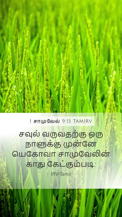 1 சாமுவேல் 9:15 TAMIRV Bible Verse Image