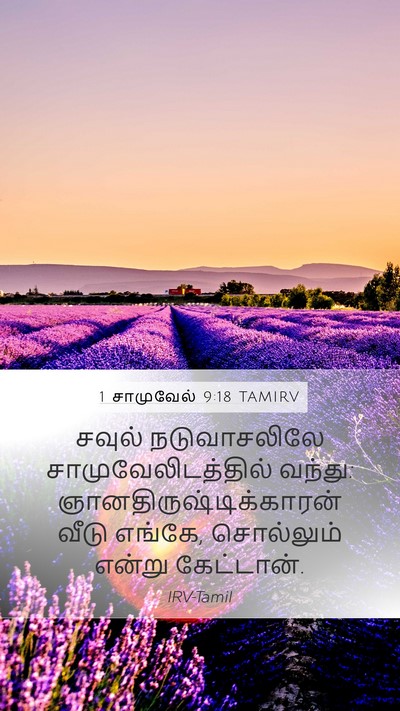 1 சாமுவேல் 9:18 TAMIRV Mobile Phone Wallpaper - சவுல் நடுவாசலிலே - Mobile Bible Verse Wallpaper