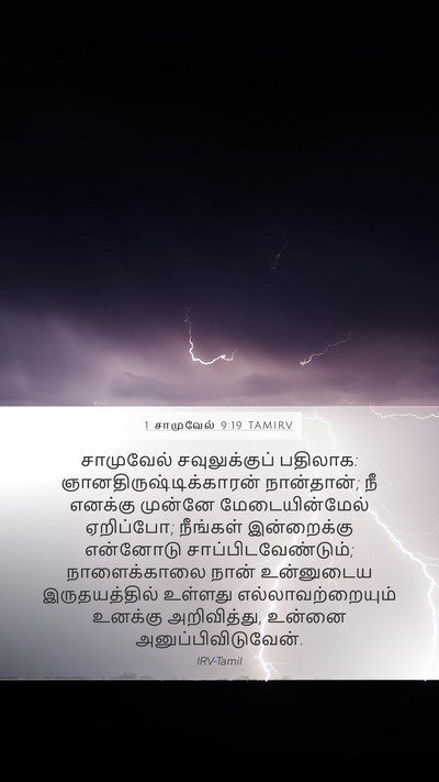 1 சாமுவேல் 9:19 TAMIRV Mobile Phone Wallpaper - சாமுவேல் - Mobile Bible Verse Wallpaper