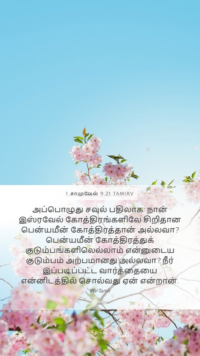 1 சாமுவேல் 9:21 TAMIRV Bible Verse Image