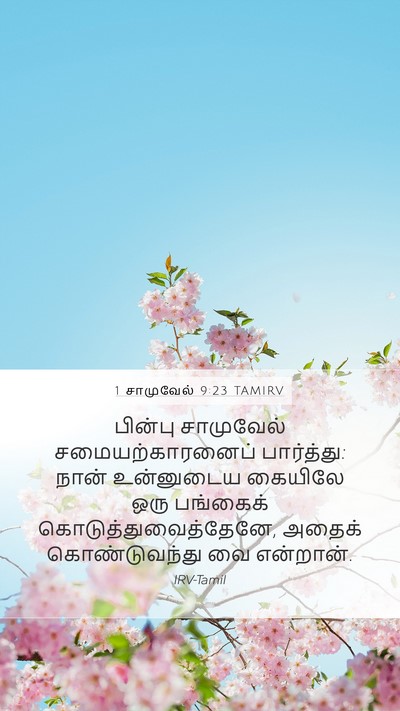 1 சாமுவேல் 9:23 TAMIRV Mobile Phone Wallpaper - பின்பு சாமுவேல் - Mobile Bible Verse Wallpaper
