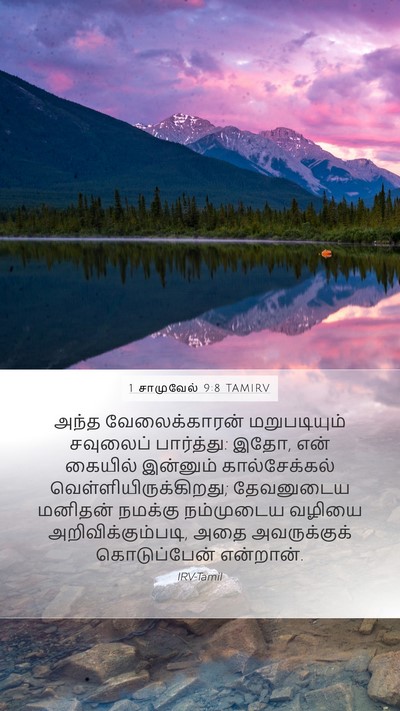 1 சாமுவேல் 9:8 TAMIRV Mobile Phone Wallpaper - அந்த வேலைக்காரன் - Mobile Bible Verse Wallpaper