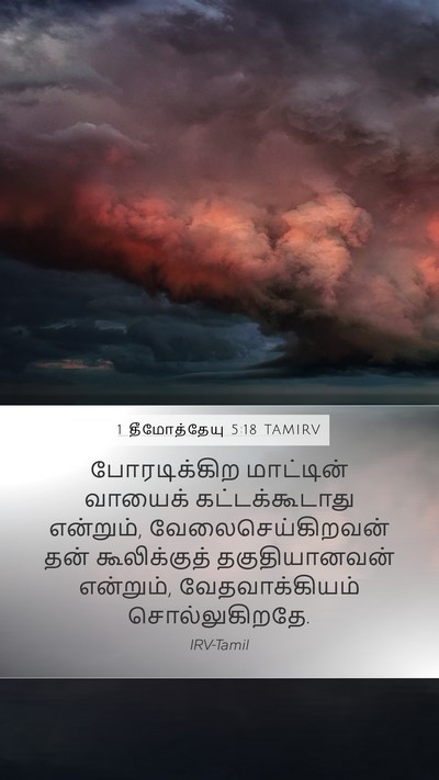 1 தீமோத்தேயு 5:18 TAMIRV Bible Verse Image