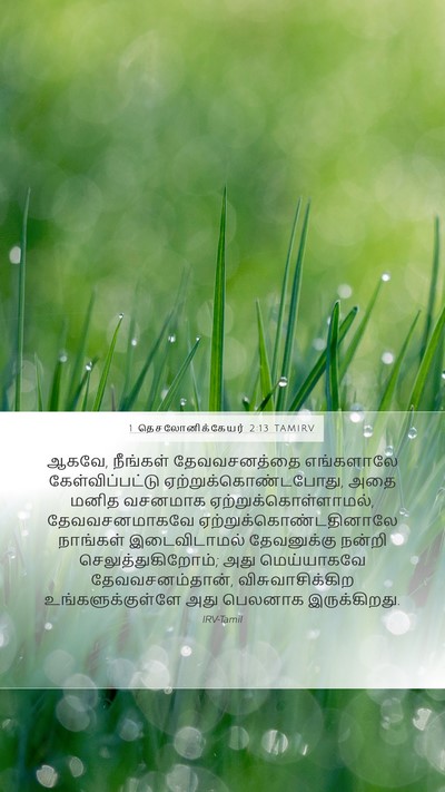 1 தெசலோனிக்கேயர் 2:13 TAMIRV Bible Verse Image