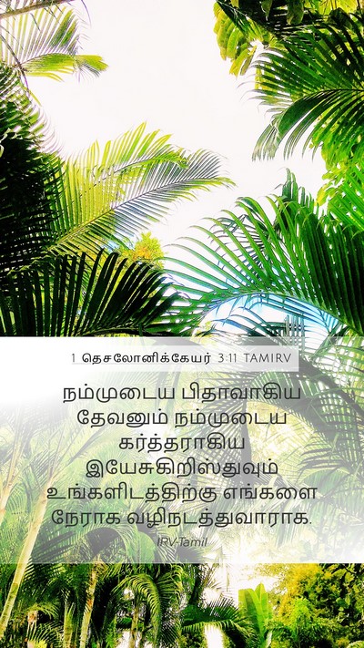 1 தெசலோனிக்கேயர் 3:11 TAMIRV Bible Verse Image