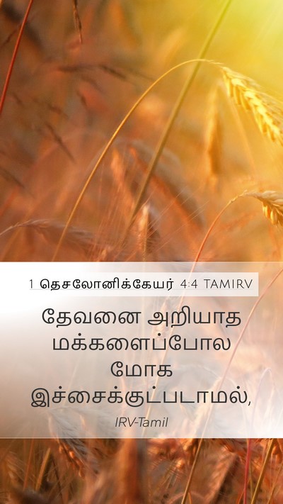 1 தெசலோனிக்கேயர் 4:4 TAMIRV Bible Verse Image