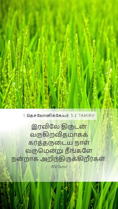 1 தெசலோனிக்கேயர் 5:2 TAMIRV Bible Verse Image