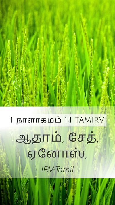 1 நாளாகமம் 1:1 TAMIRV Mobile Phone Wallpaper - ஆதாம், சேத், - Mobile Bible Verse Wallpaper
