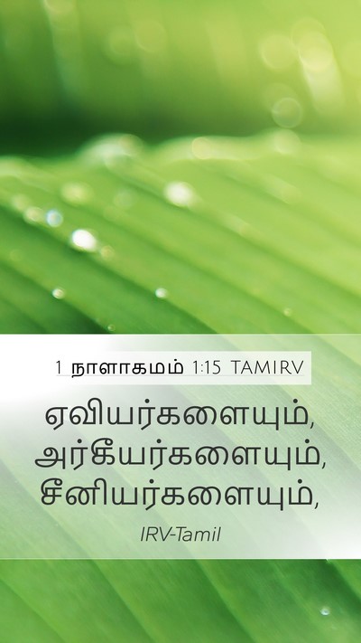 1 நாளாகமம் 1:15 TAMIRV Mobile Phone Wallpaper - ஏவியர்களையும், - Mobile Bible Verse Wallpaper